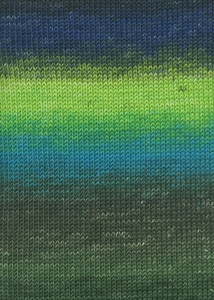 Lang Yarns Merino+ Color - Pelote de 100 gr - Coloris 0204 Noir/Vert/Bleu