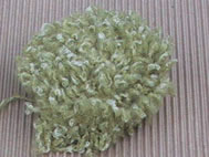 Technique du crochet à la fourche 24