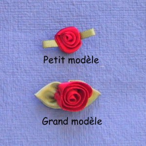 Rose en ruban