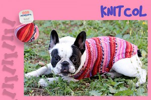 Kit à tricoter Adriafil Manteau pour chien Priscilla en Knitcol