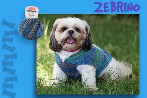 Kit à tricoter Adriafil Manteau pour chien Clarabella en Zebrino