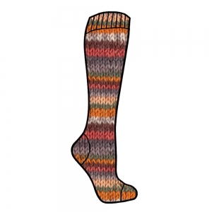 Adriafil Calzasocks multicolor - Pelote de 100 gr - Coloris 168 Motif vintage