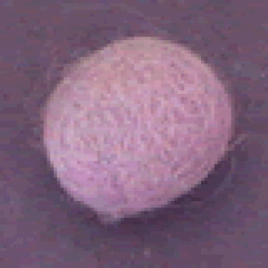 Boule en laine feutrée à la main - Mauve clair