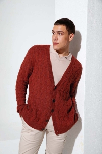 272-48 Modèle Gilet homme en Lang Yarns Norma