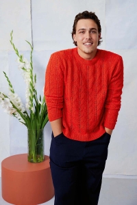 284-26 Modèle Siro Pull homme en Lang Yarns Ananas