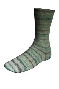 Lang Yarns Twin Soxx 4 Fils - Pelote de 100 gr - Coloris 0460 Vert Foncé 1135 Whistler