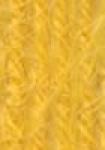 Plassard Louinie - Pelote de 25 gr - 883 (coloris supprimé)