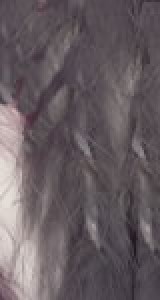 Adriafil Miro - Bobine de 10 m - Coloris 26 gris foncé