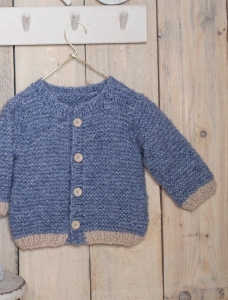 168/24 Modèle Cardigan bicolore en Plassard Pegase