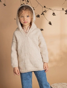 176/24 Modèle Pull tunique à capuche en Plassard Basic