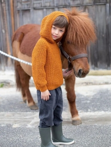 183/08 Modèle Pull à capuche en Plassard Fidèle