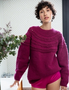 191/03 Modèle Pull fantaisie en Plassard Datcha