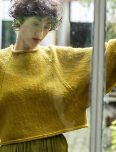 191/14 Modèle Pull en Plassard Fidèle