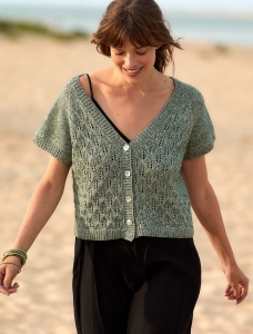 192/01 Modèle Cardigan sans coutures en Plassard Jasione