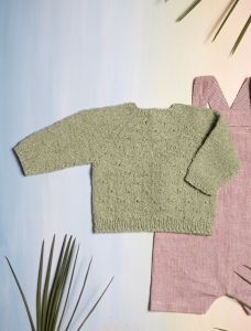 193/01 Modèle Pull sans coutures en Plassard Macaron