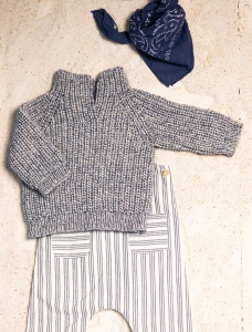 193/16 Modèle Pull sans coutures en Plassard Jasione