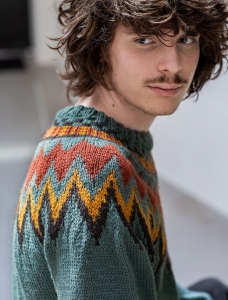 198/04 Modèle Pull jacquard sans coutures en Plassard Merilana