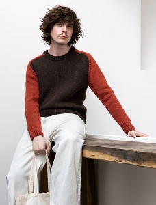 198/07 Modèle Pull en Plassard Primo