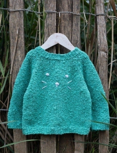 200/06 Modèle Pull en Plassard Nayara