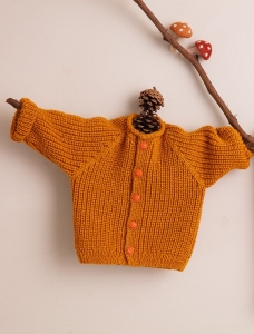 201/16 Modèle Gilet en Plassard Merilana Fine