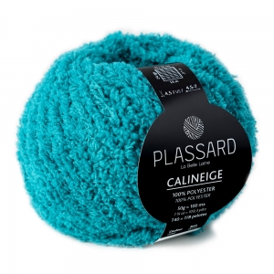 Plassard Calineige