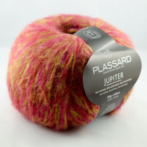 Plassard Jupiter