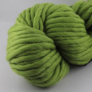 Plassard Mèche XXL - Echeveau de 100 gr - 17 Vert Pistache (coloris supprimé)