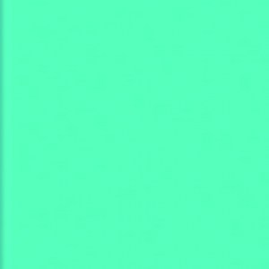 Porcelaine froide à modeler Darwi 150 gr - Turquoise