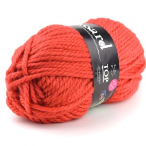 Plassard Top - Pelote de 300 gr - Coloris 581 (coloris supprimé)