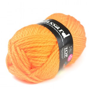 Plassard Top - Pelote de 300 gr - Coloris 608 (coloris supprimé)