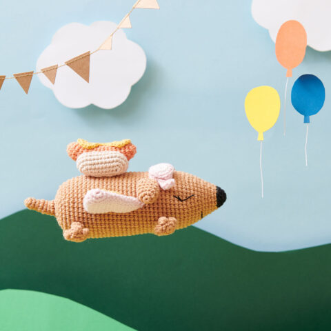 Ricorumi Hot Dog Airplane